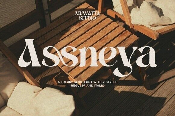 Assneya Font: Elevating Brand Elegance for Small Businesses