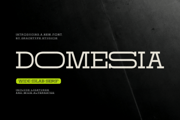 Domesia: A Slab Serif Font That Elevates Branding and Packaging Design